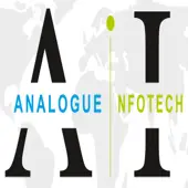 Analogue Infotech Private Limited