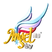 Angel Broadcasting Network Private Limited