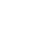 A N Global Franchise Private Limited