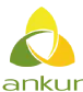 Ankur Sustainable Energy Technologies Private Limited