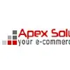 Apex Solutions Limited