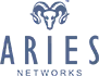 Aries Networks Private Limited