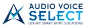 Audio Voice (India) Private Limited