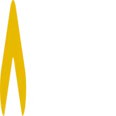 Aureate Labs Private Limited