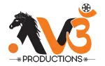 Av3 Productions Private Limited