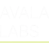 Avala Labs Private Limited