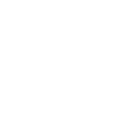 Aviaxpert Spv Private Limited