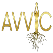 Avvic Sciences India Private Limited