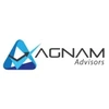 Agnam Trustees And Family Office Private Limited