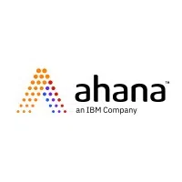 Ahana Ray Technologies India Private Limited