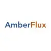Amberflux Edgeai Private Limited