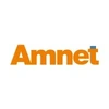 Amnet Systems Private Limited