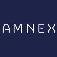 Amnex Infotechnologies Private Limited