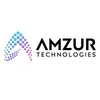 Amzur Infotech Private Limited