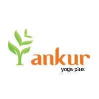 Ankur Industrial Solutions Private Limited