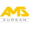 Aurean Marketing Solutions Private Limited