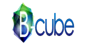 B-Cube Consulting Private Limited