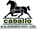 B.M.Exports Private Limited