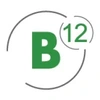 B12 Consulting (India) Private Limited