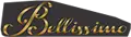 Bellissimo Solutions Private Limited