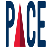 Bepace Intelligence Private Limited