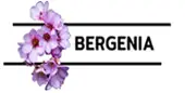 Bergenia Consultancy Services Private Limited