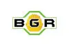 Bgr Mining & Infra Limited
