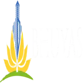 Bhuyas Infra Ventures Private Limited
