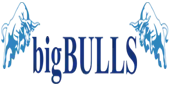 Bigbulls Buildchem Private Limited