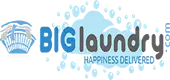 Big Laundry Services Private Limited