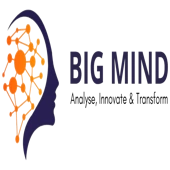 Bigmind Consulting Private Limited