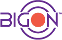 Bigon It Consulting Private Limited