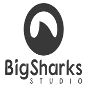 Bigsharks Studio Private Limited