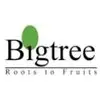 BIG TREE ENTERTAINMENT PRIVATE LIMITED