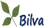 Bilva Chemicals (Opc) Private Limited