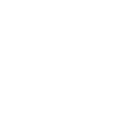 Binary Global Limited