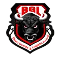 Bison Guards And Logistics Private Limited