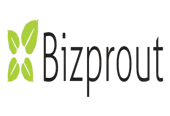 Bizprout Expert Systems Private Limited