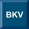 Bkv Learning Systems Private Limited