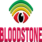 Bloodstone Technologies Private Limited