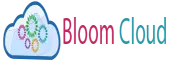 Bloomcloud It Services Private Limited