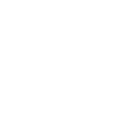 Bloophant Leisure Private Limited