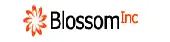 Blossom Infraventures India Private Limited
