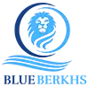 Blue Berkhs Shipping Private Limited
