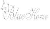 Blue Horse Education Private Limited