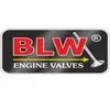 Blw Engine Valves Private Limited