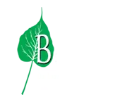 Bodhi Professional Solutions Private Limited