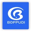 Boppudi Logistics & Shipping India Private Limited