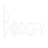 Borgfy Private Limited