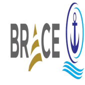 Brace Logistics Solution Private Limited